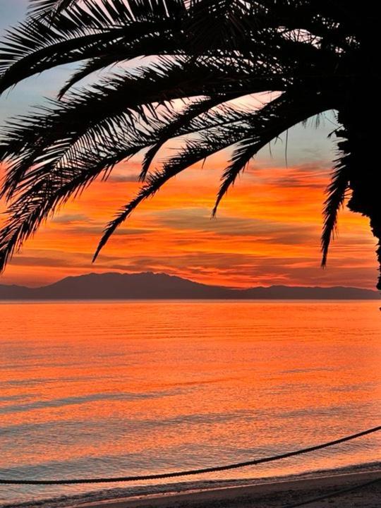 Apartment Thalassa-seafront Family Skala Fourkas
