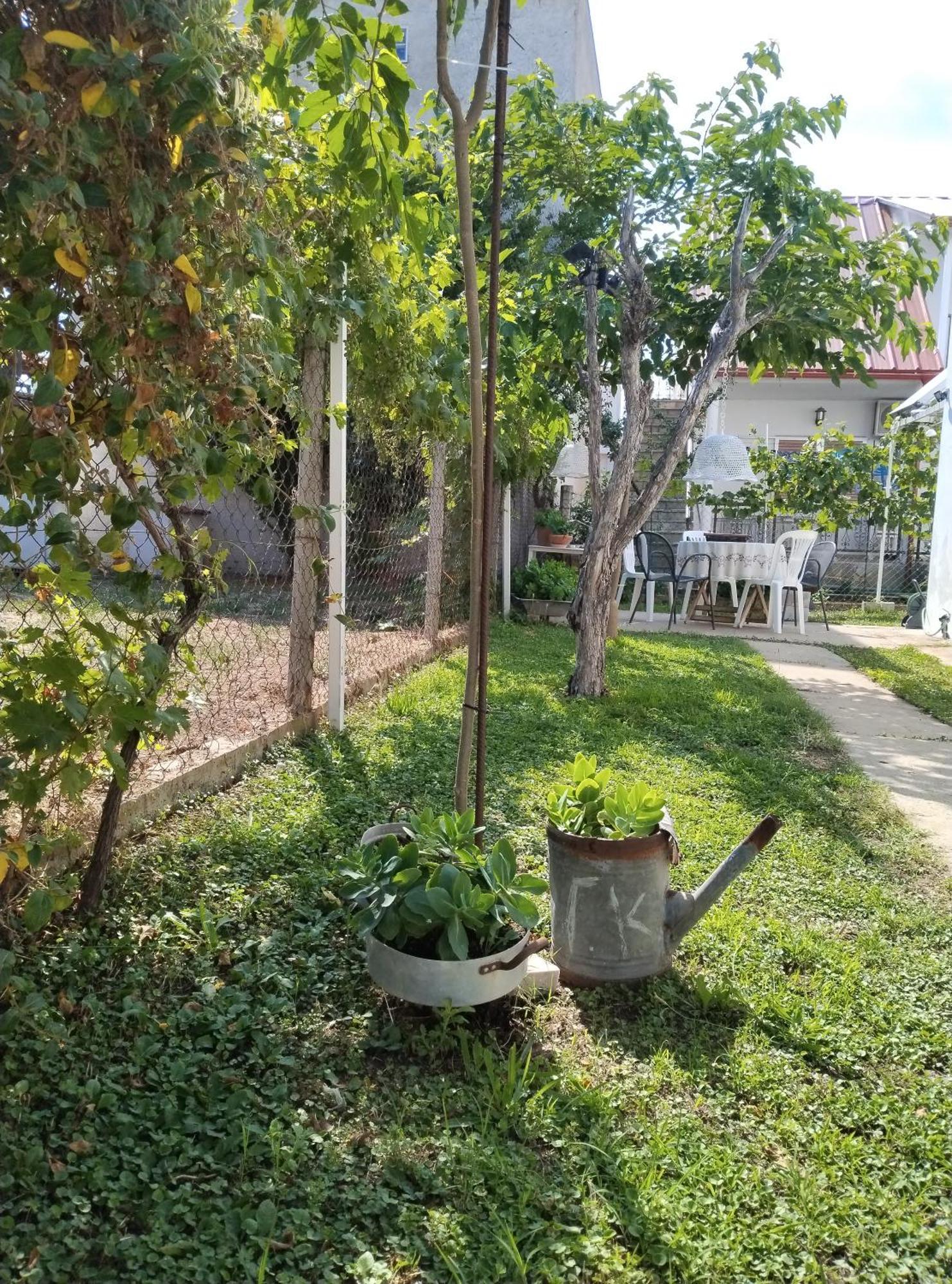 θαλασσινή αυρα Holiday home Nea Vrasna