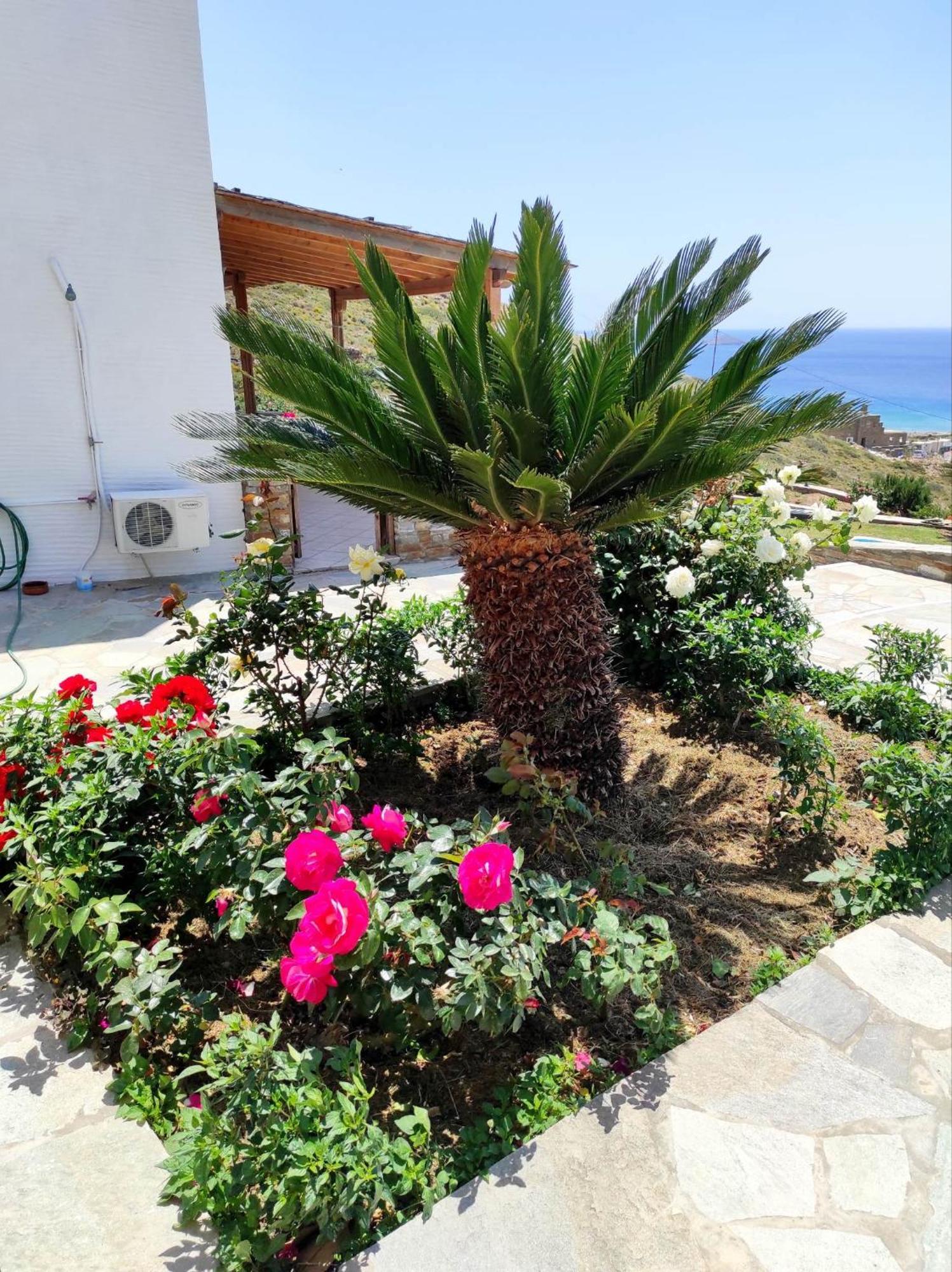 Apartment Helen Kipri (Andros)