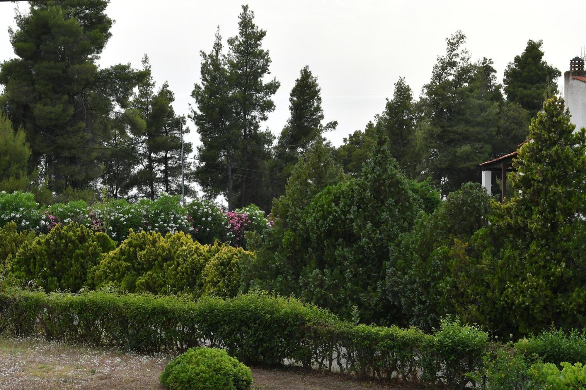 Eden's Oasis Holiday home *