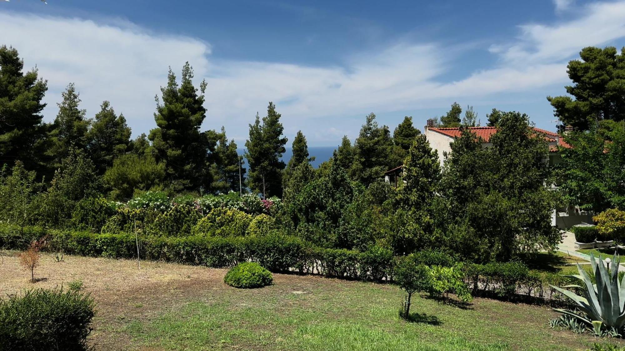 Eden's Oasis * Skala Fourkas