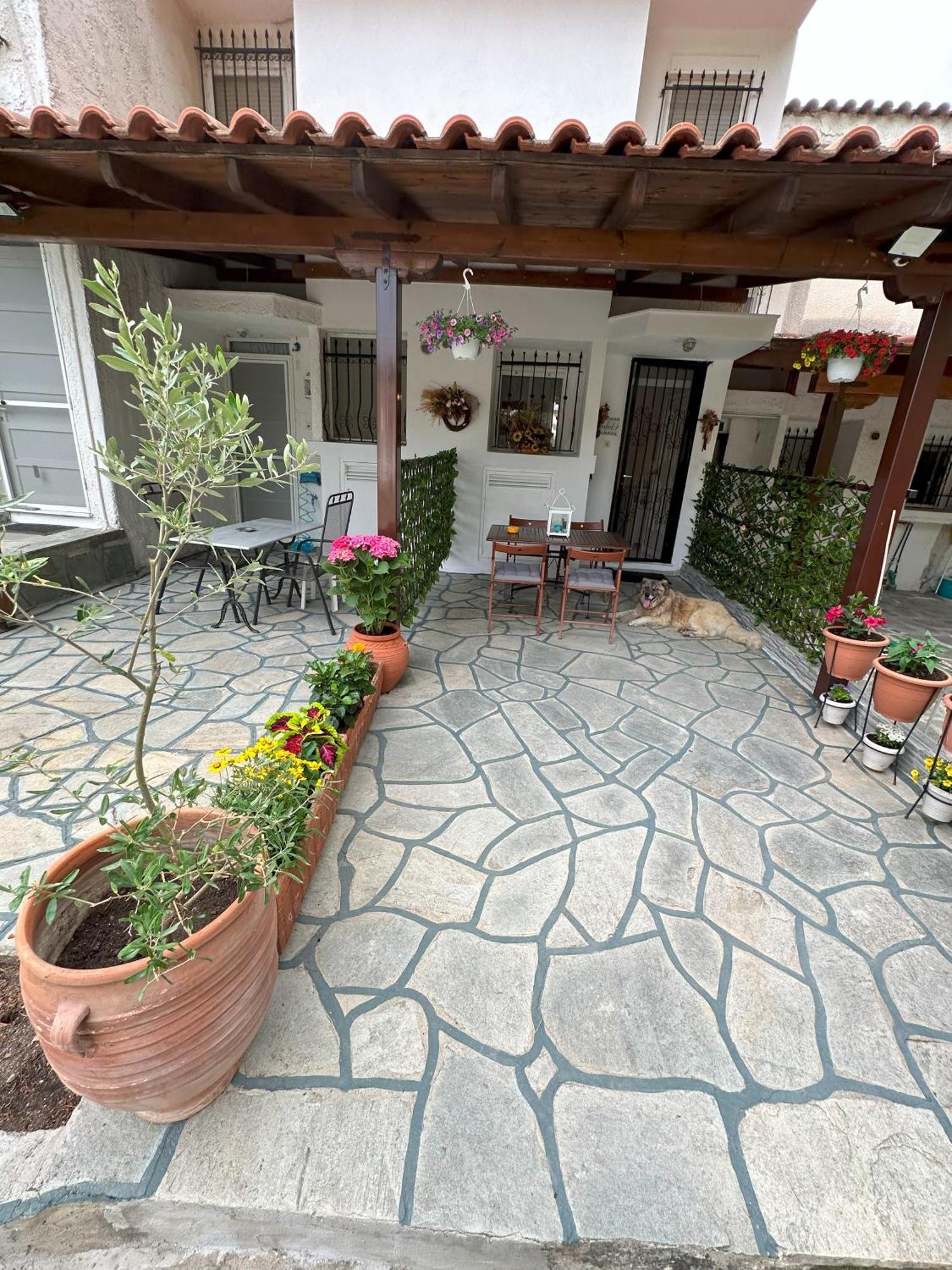 Eden's Oasis Holiday home Skala Fourkas