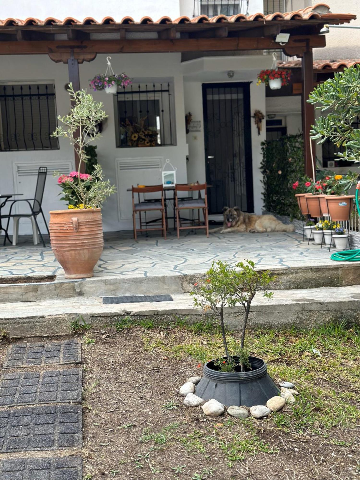 Holiday home Eden's Oasis *