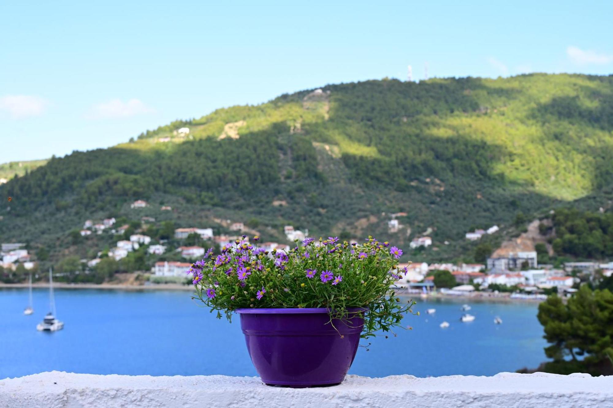Thama Of 1 * Skiathos Town