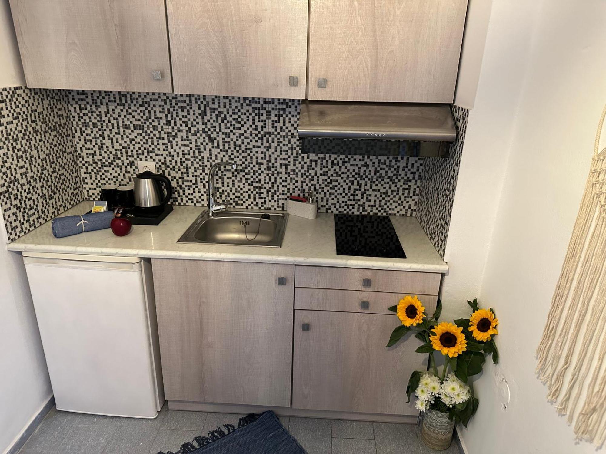 Nicole Santorini Guest house Vothon
