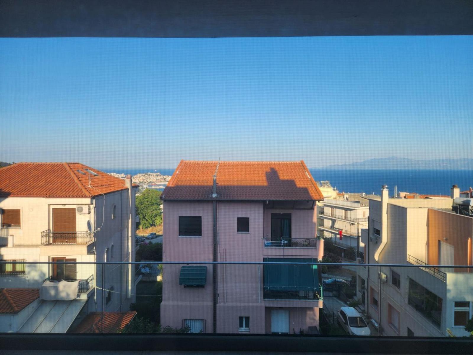 Pinecone * Kavala