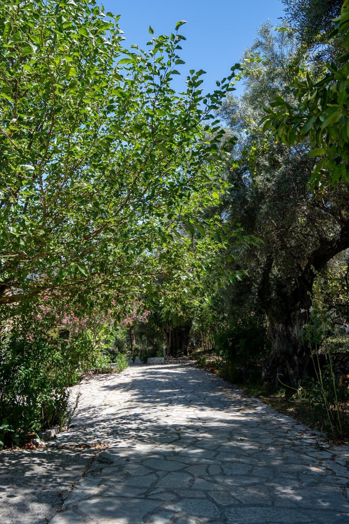 Apartment Vliho Bay & Geni (Lefkada)
