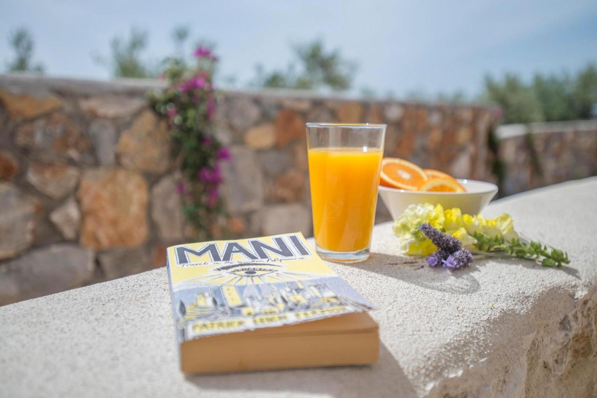 Poliana Estate Holiday home