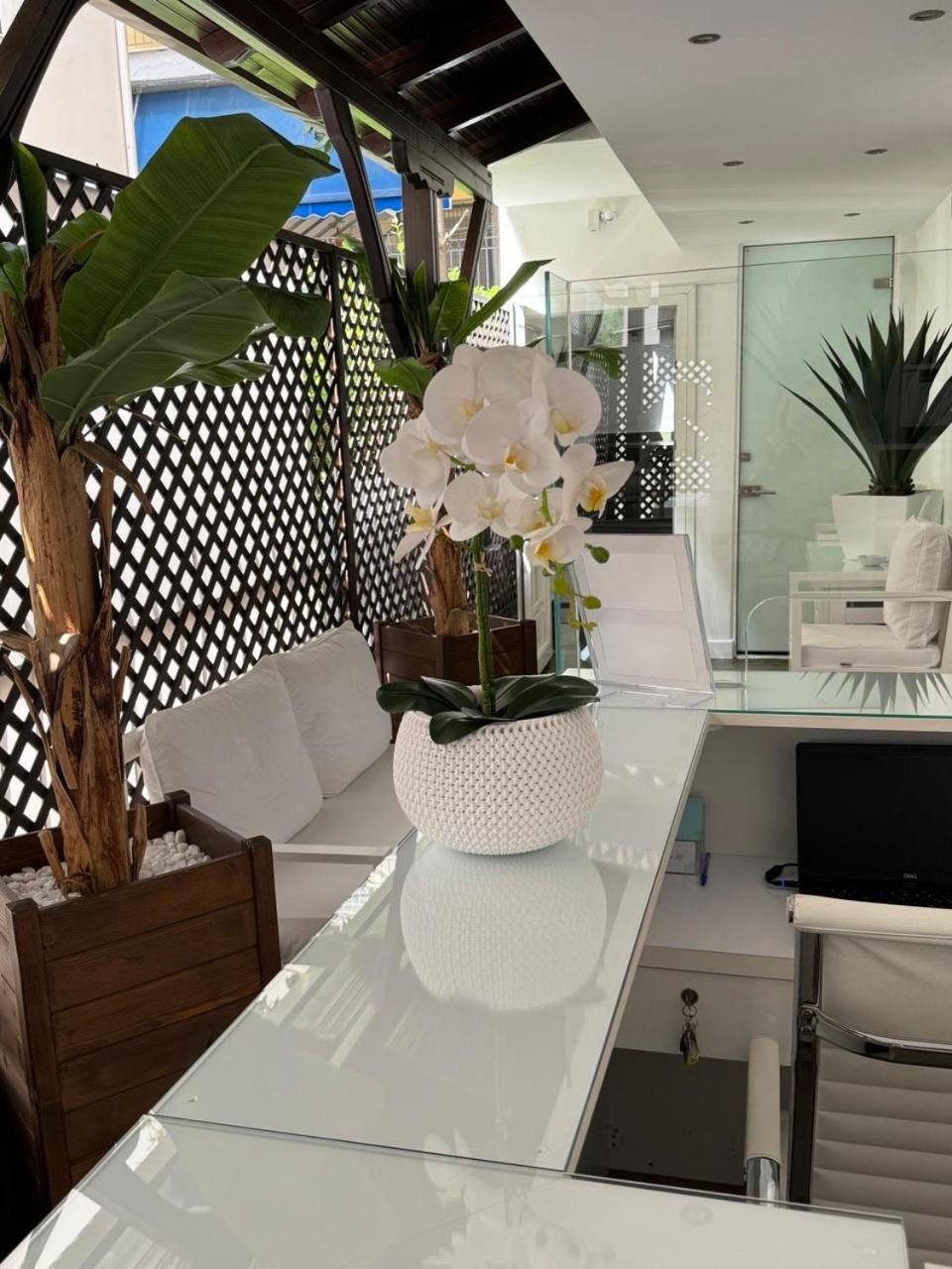 Amaryllis Luxury * Platamonas