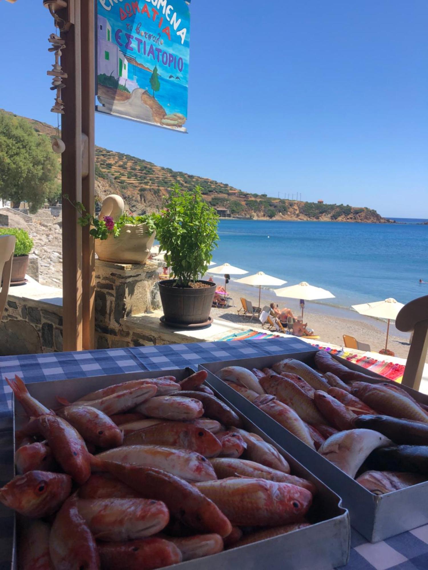 To Votsalo-beach Side & Taverna