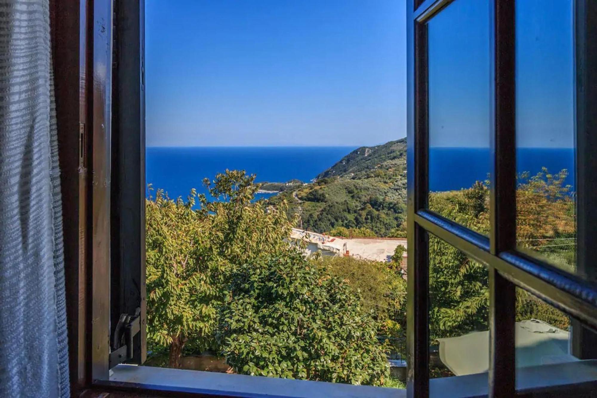 Zina Agios Dimitrios *