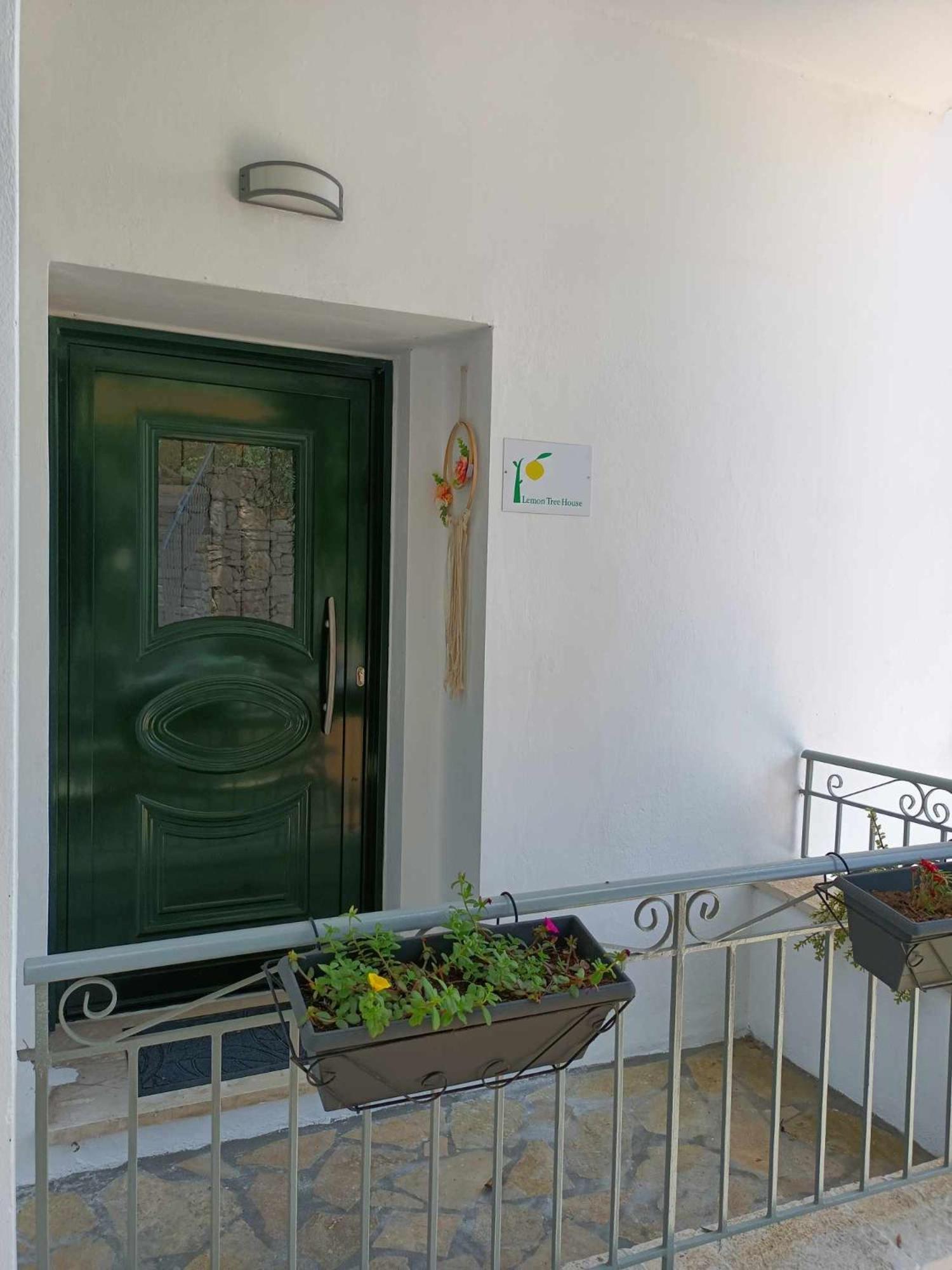 Lemon Tree House Apartment