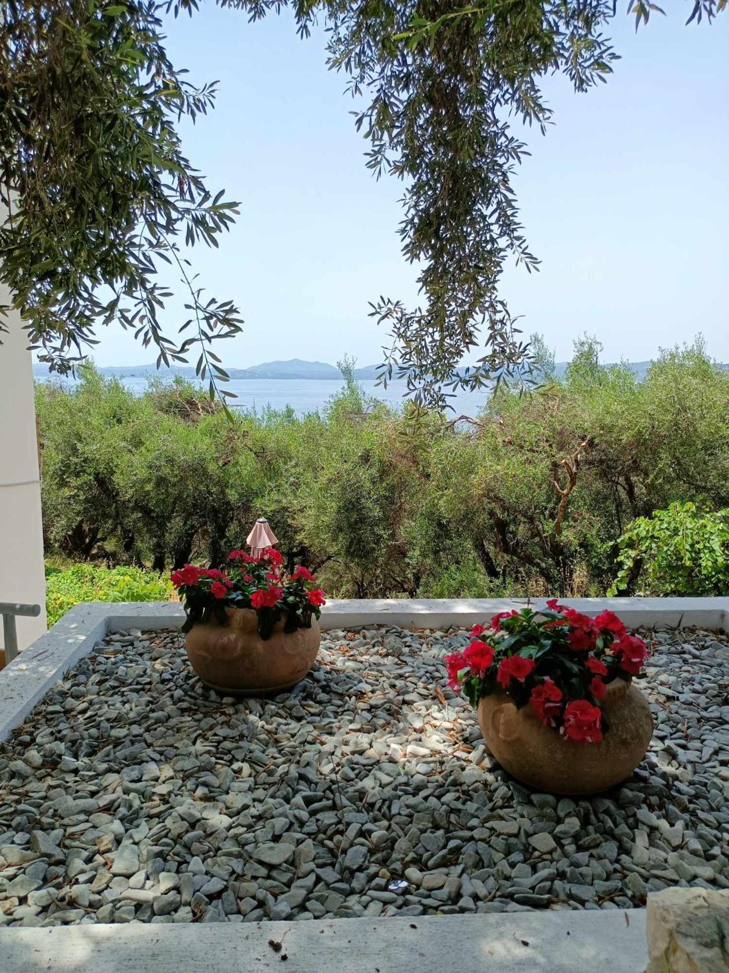 Lemon Tree House Apartment