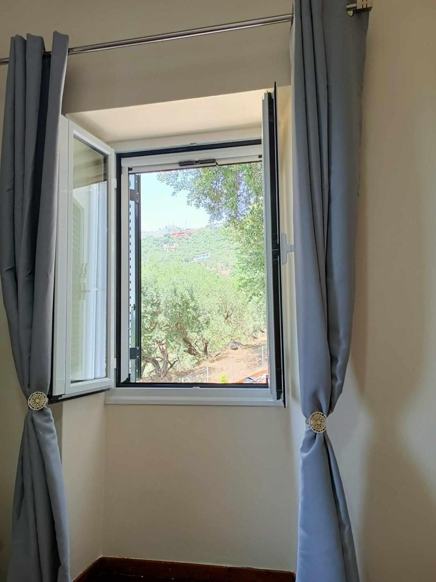 Lemon Tree House Apartment