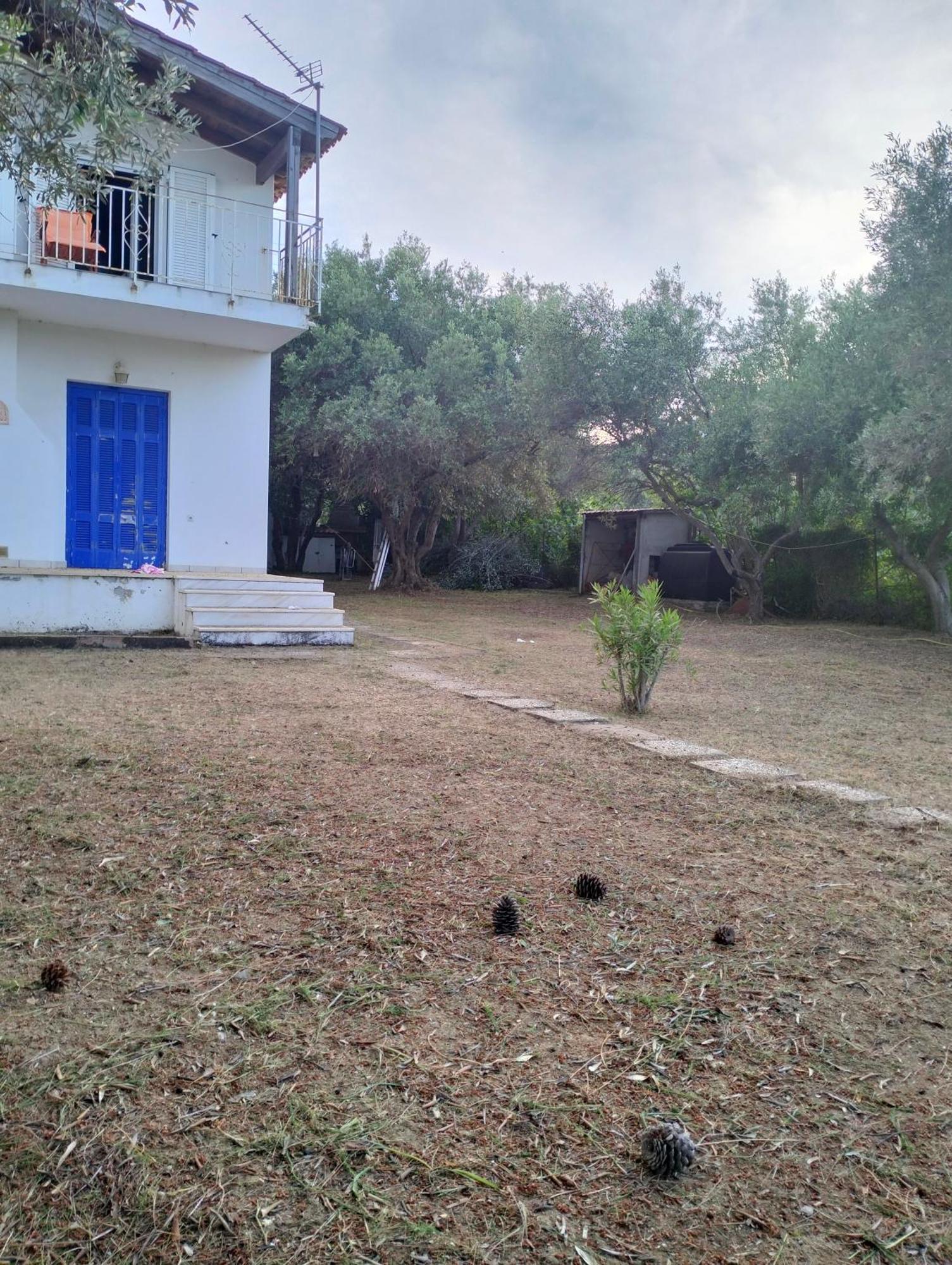 Greeksummer Edipsos