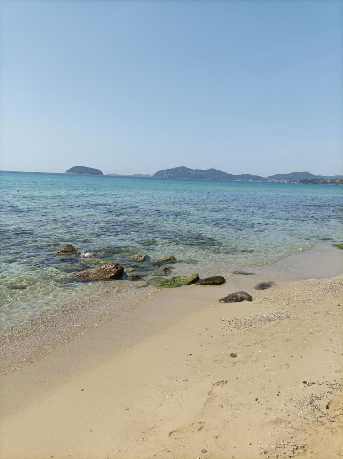 Antony's By The Sea Palaiontsiflikion