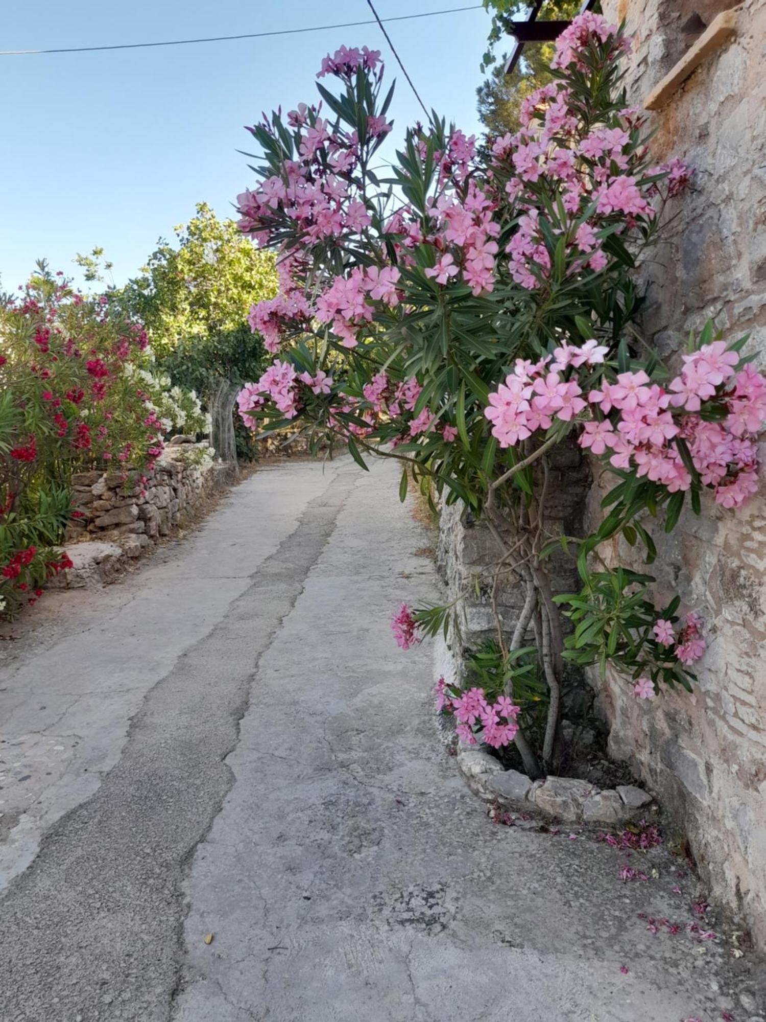 Aνάβατος Country house