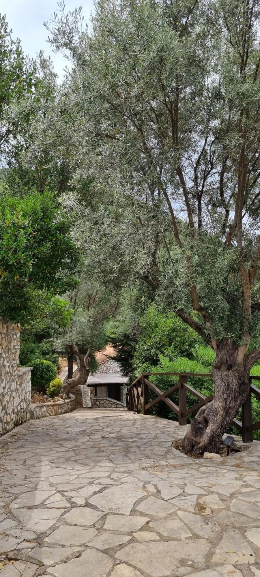 Villa Arriva Sivota (Lefkada)