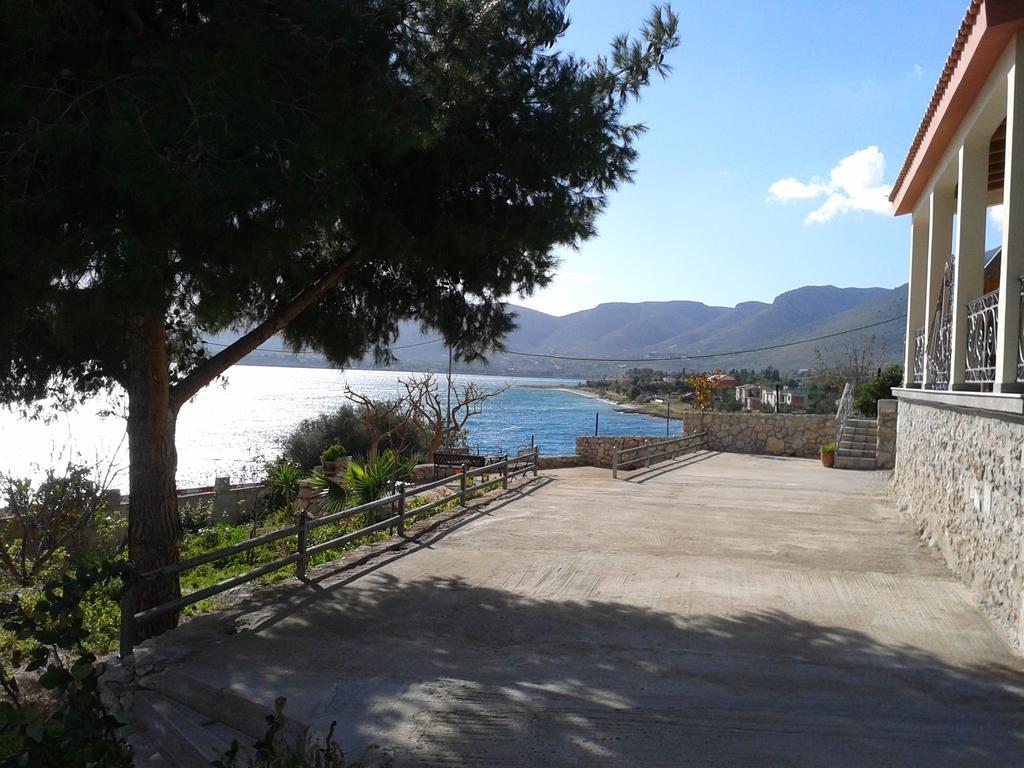 Niriides