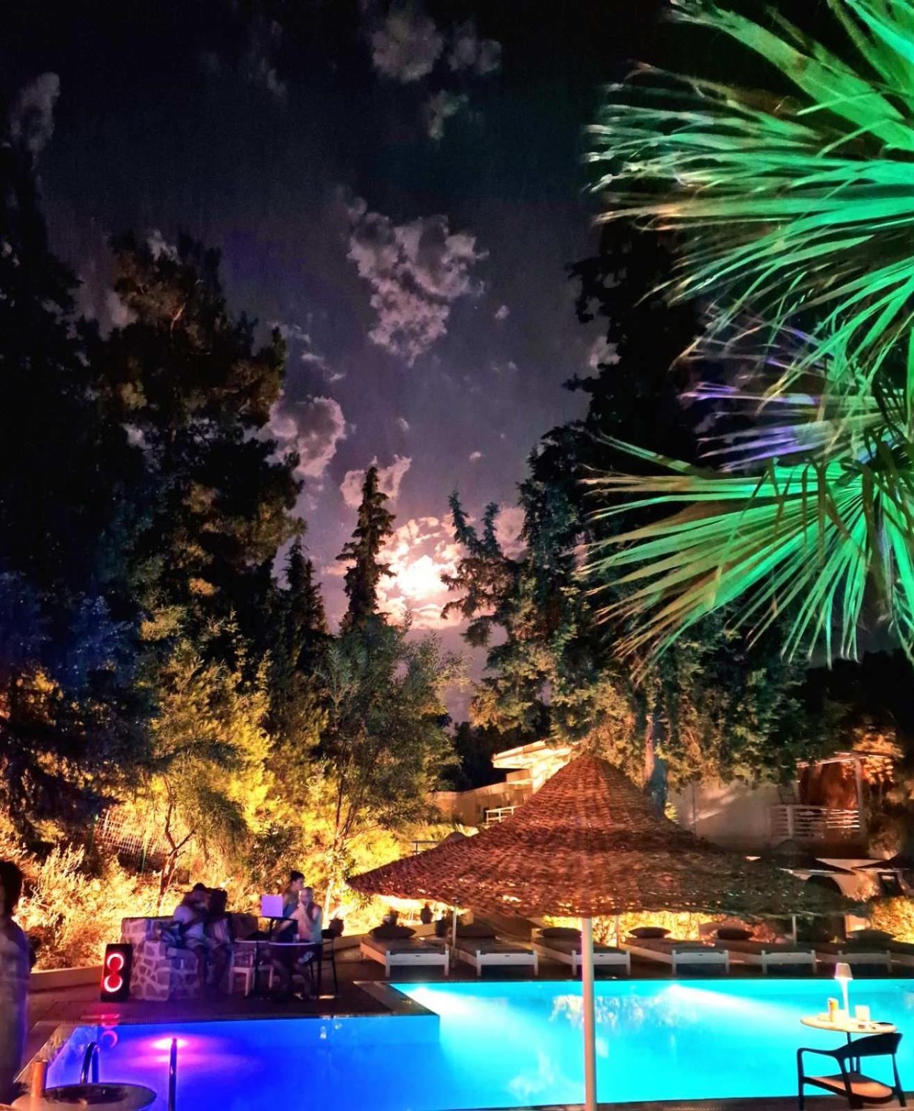 Pine Trees Art Aparthotel Ixia (Rhodes)