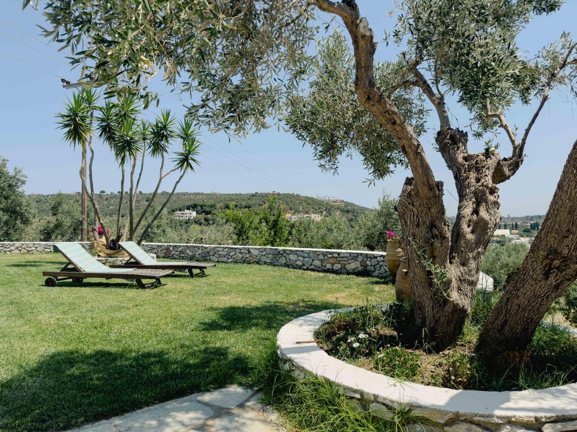 Villa Philosophia -sophia *