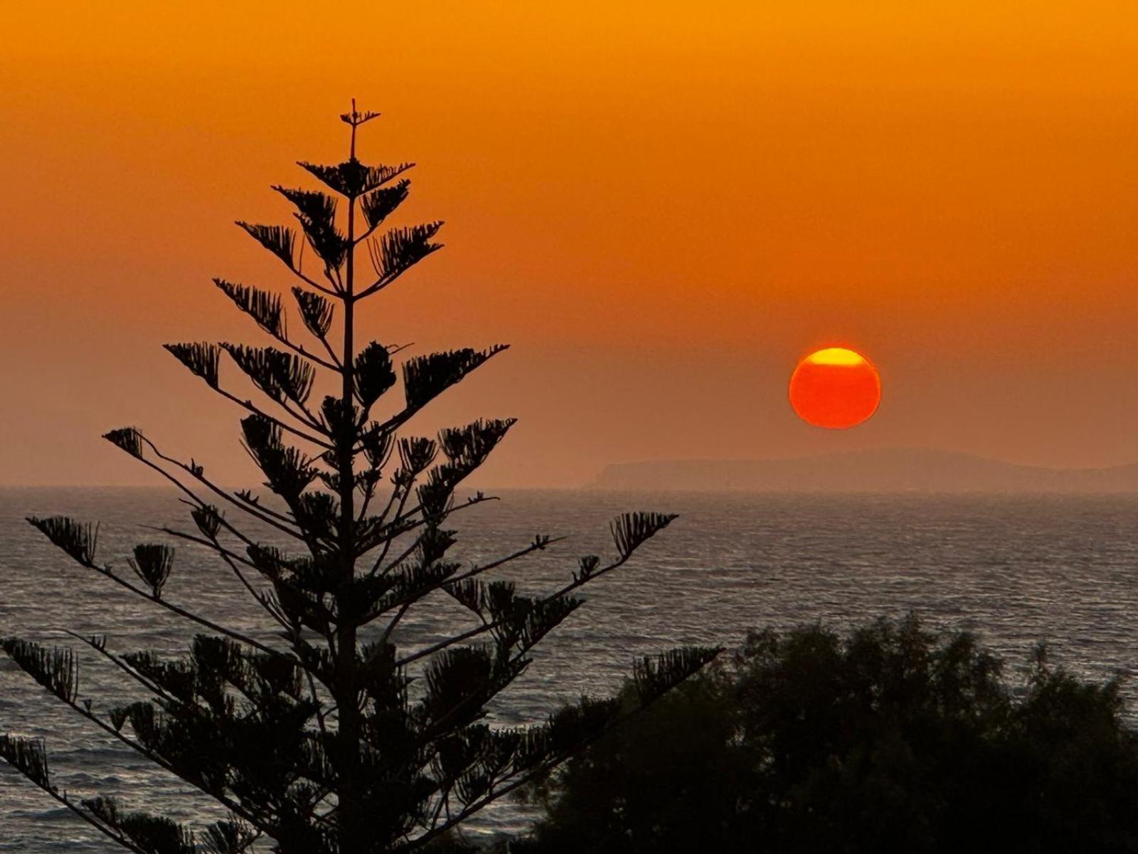 Andreas Studios Mastichari (Kos)