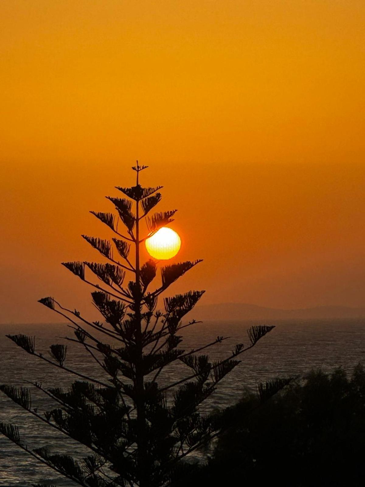 Andreas Studios Mastichari (Kos)