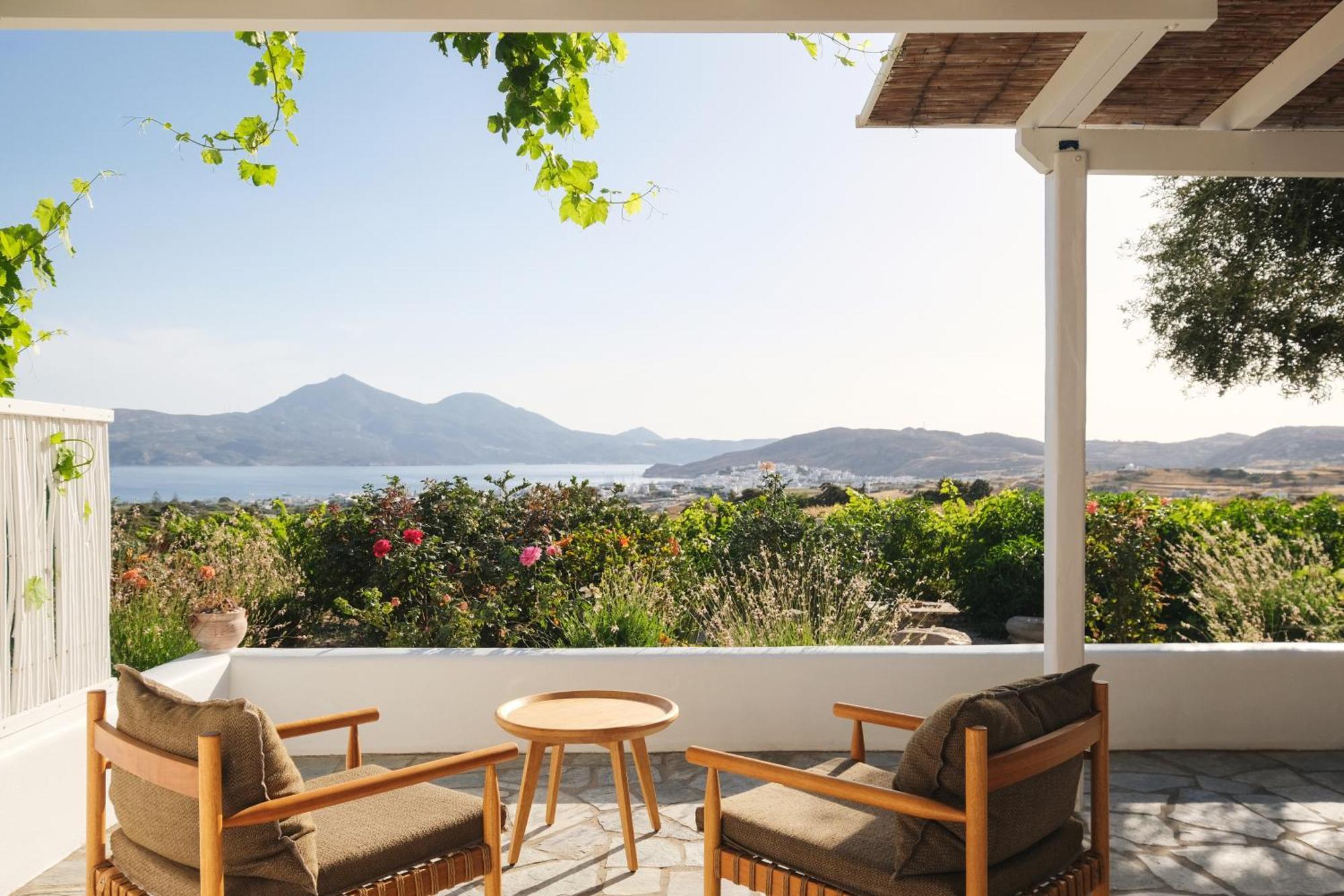 Iliana Olive Branch Adamantas (Milos)