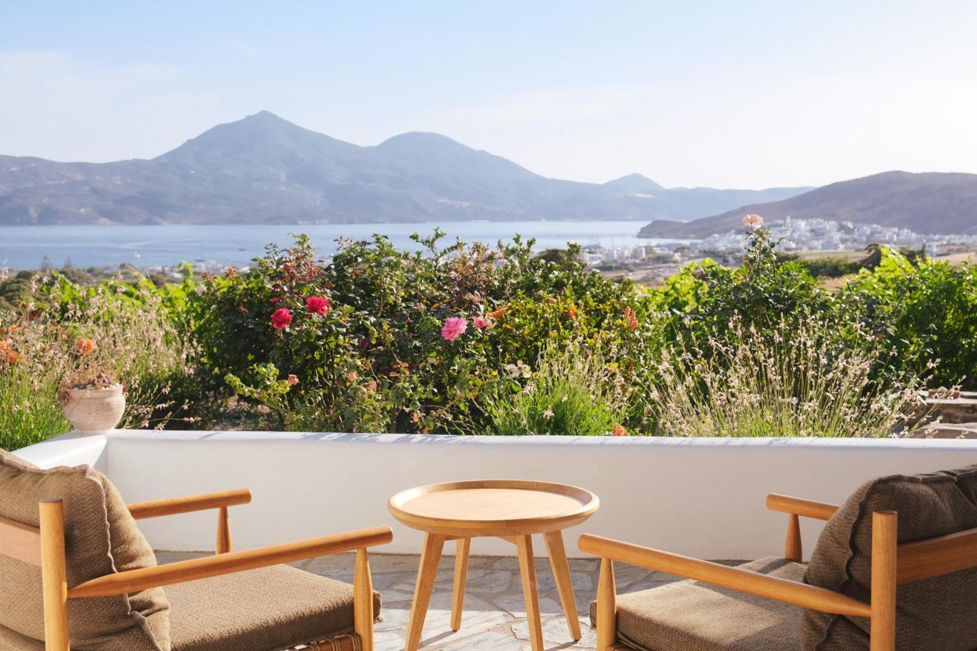 Apartment Iliana Olive Branch *