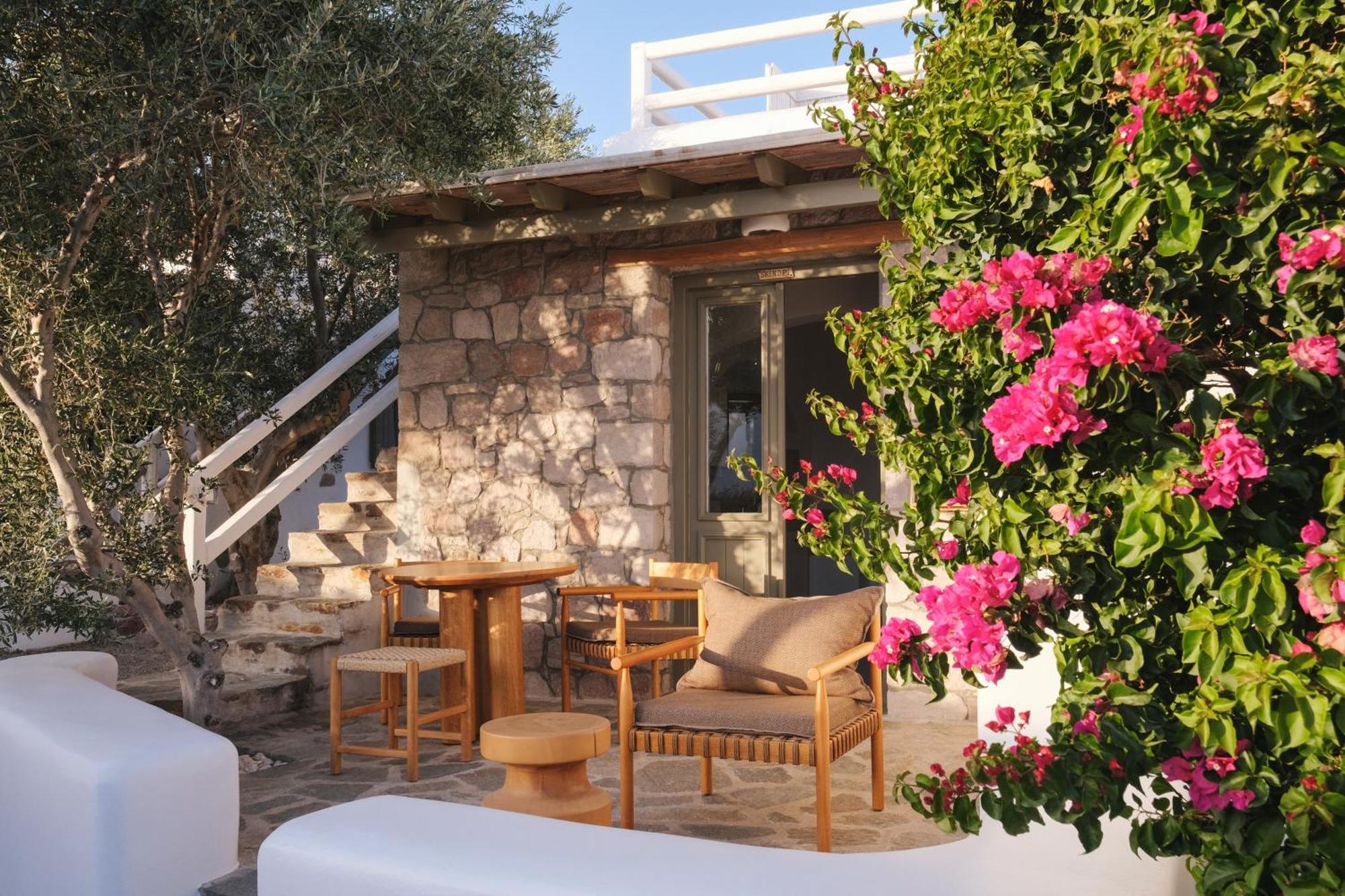 Iliana Olive Branch * Adamantas (Milos)