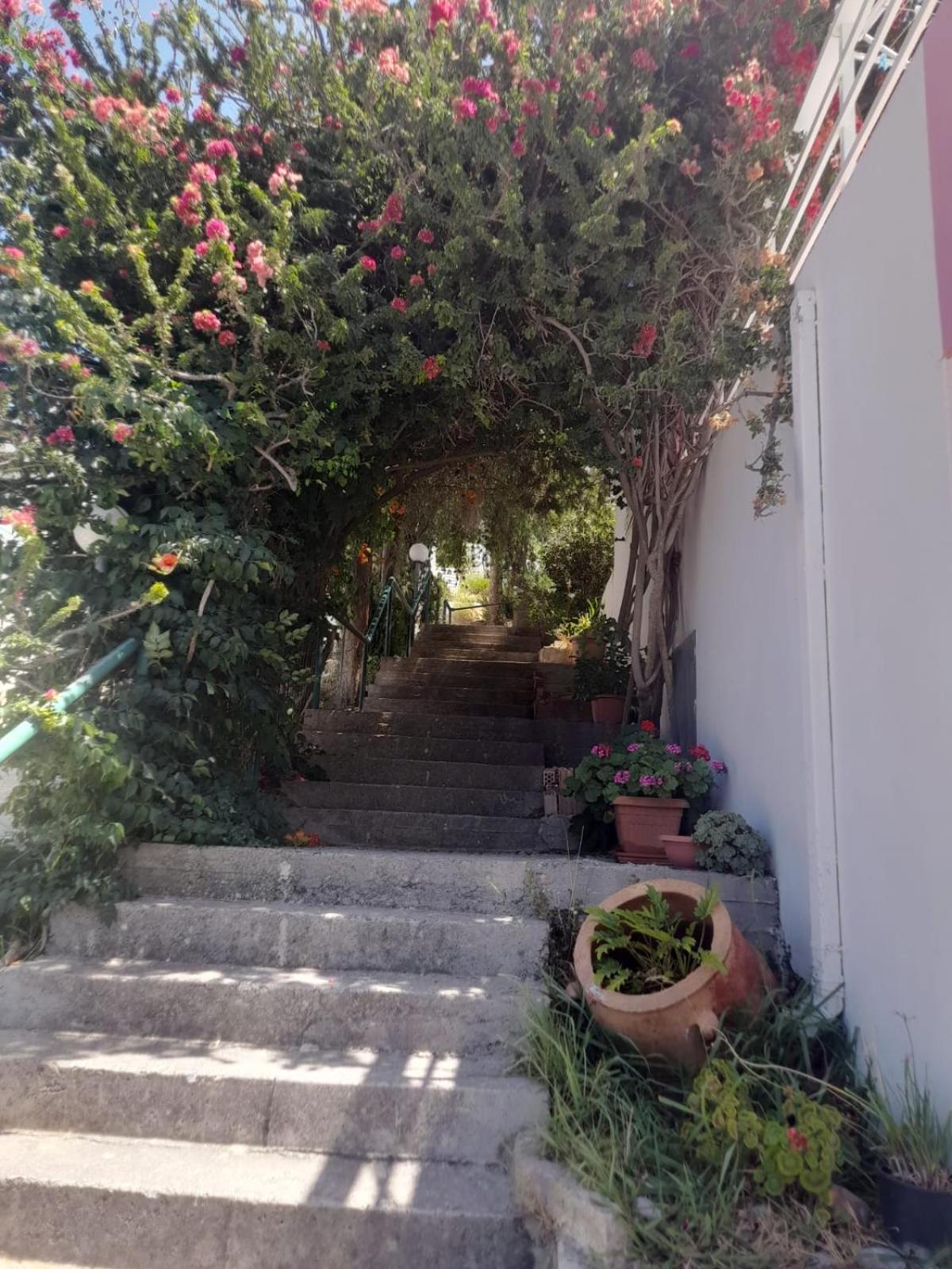 Apartment Camelia *