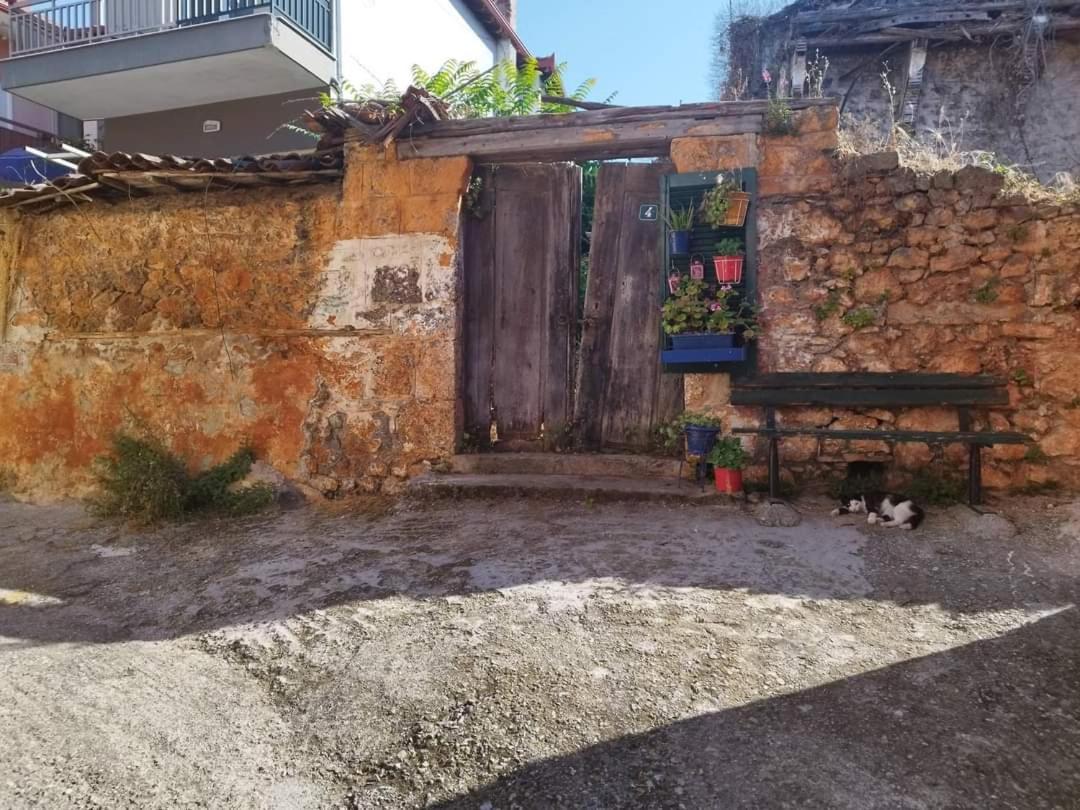 Olympiades Guest house