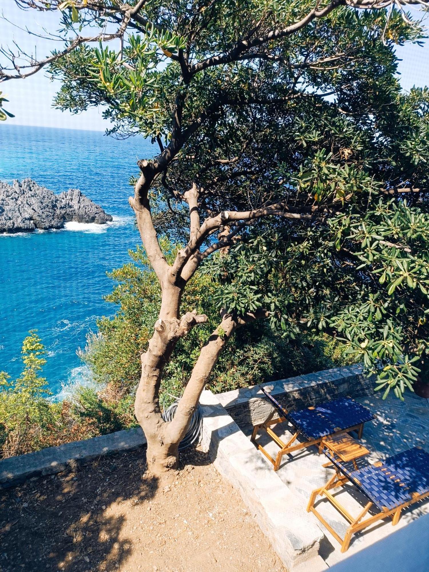 The Life * Limnionas (Central Greece)