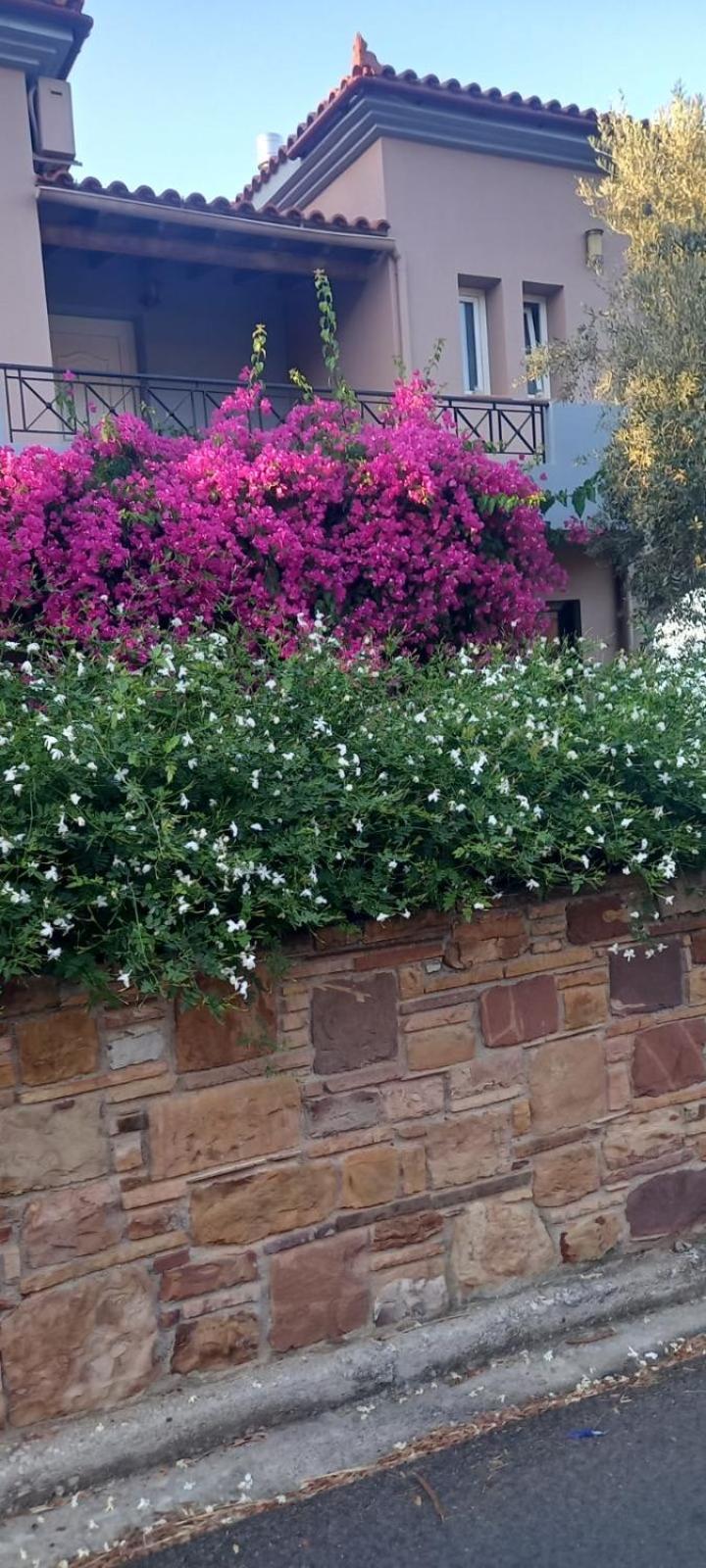 Marisia Apartment Karfas