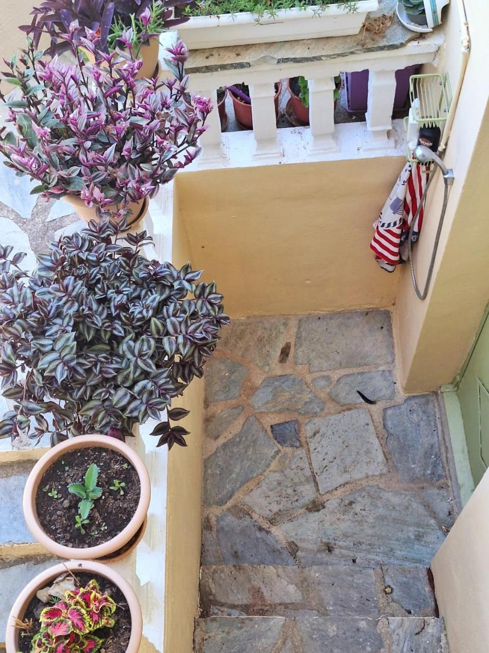 Marchie's Place - Spacious One Bedroom For Rent On Island Apartment *