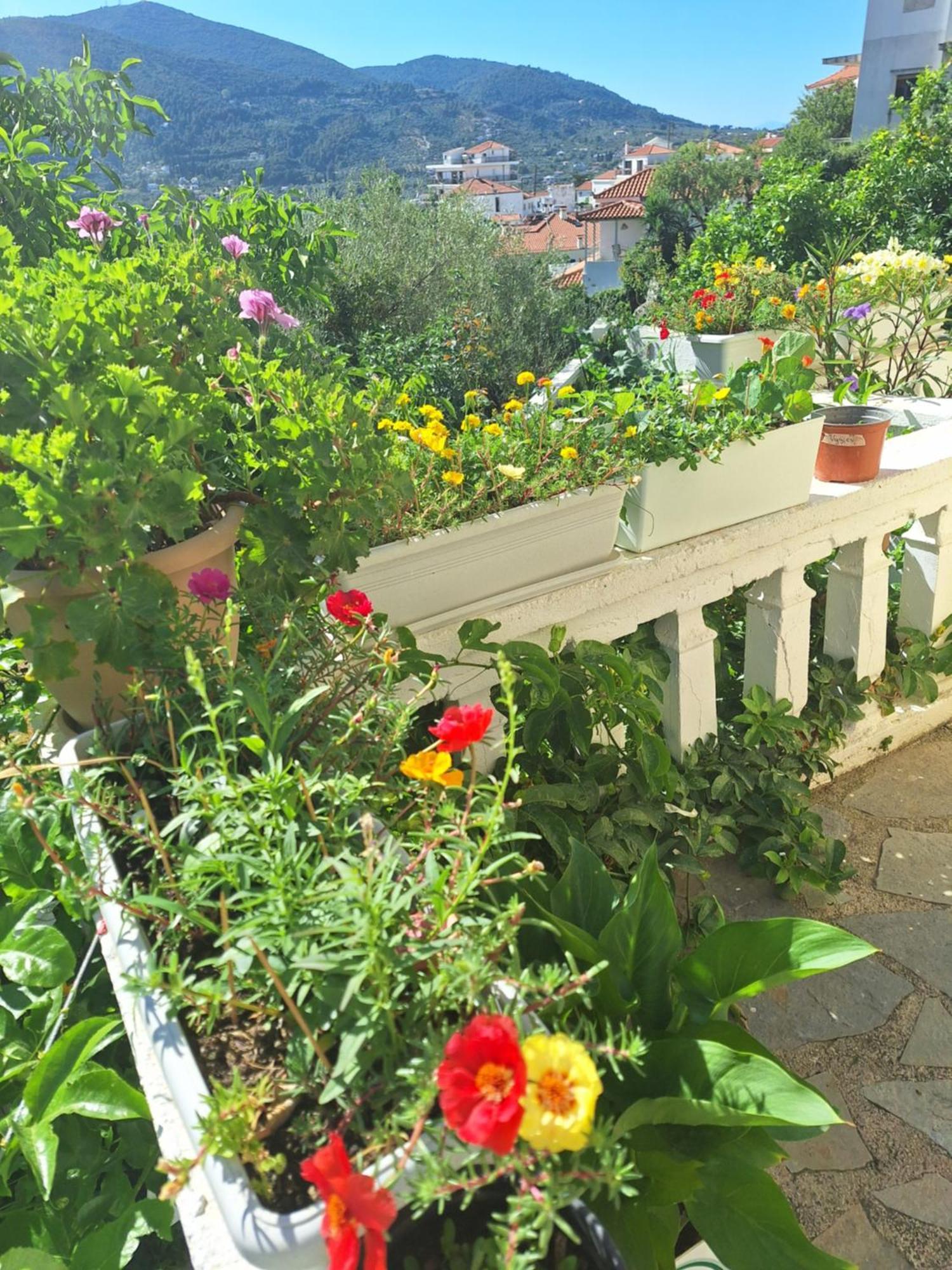 Marchie's Place - Spacious One Bedroom For Rent On Island