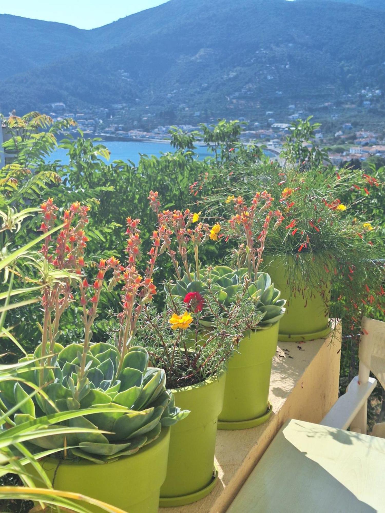 Apartment Marchie's Place - Spacious One Bedroom For Rent On Island