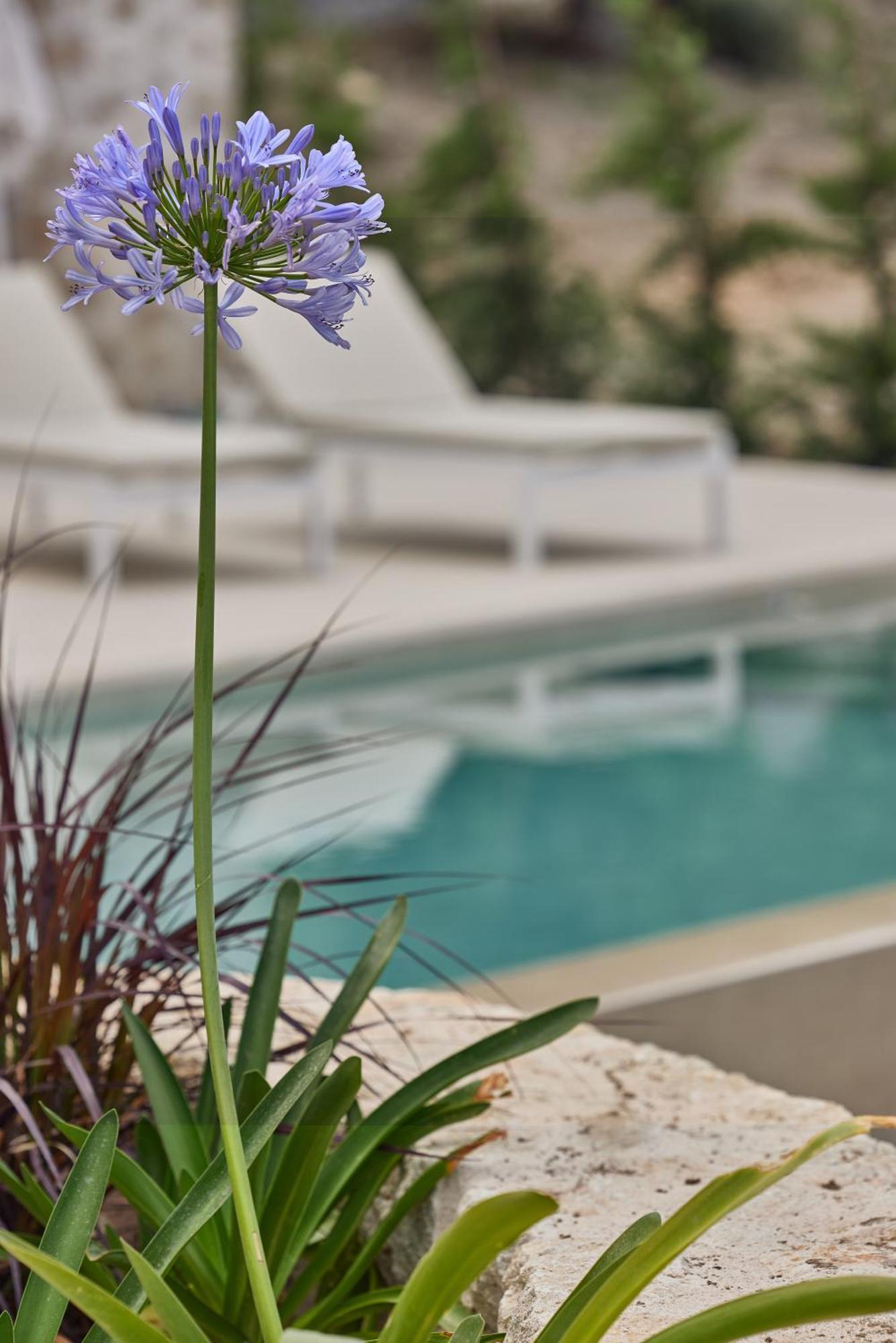 Olvion Luxury Villa *
