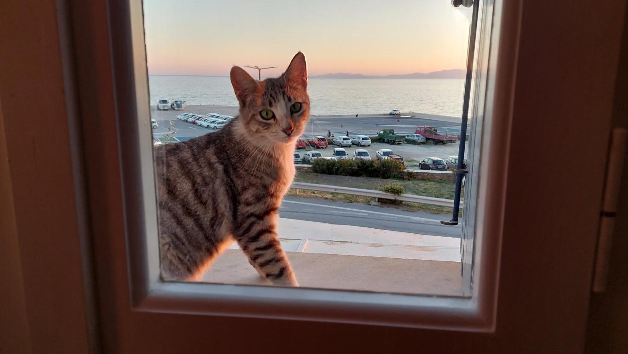 Holiday home Callisto *