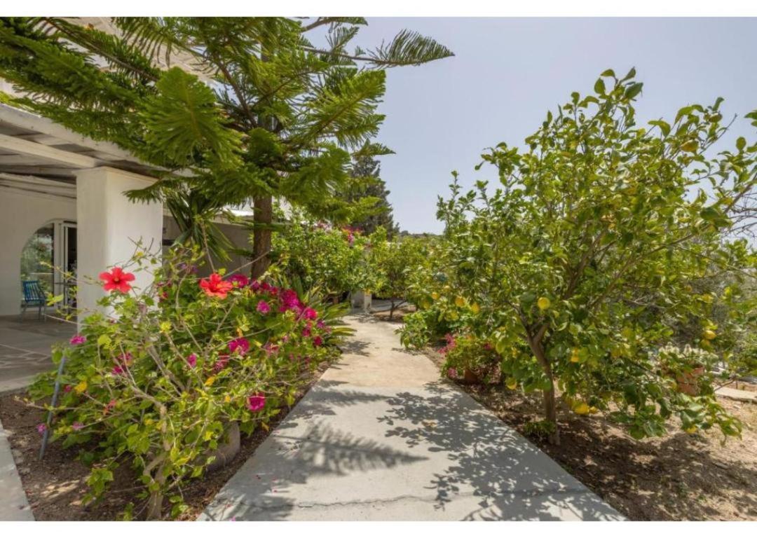 Apartment Maggano Paros 3 Angairia
