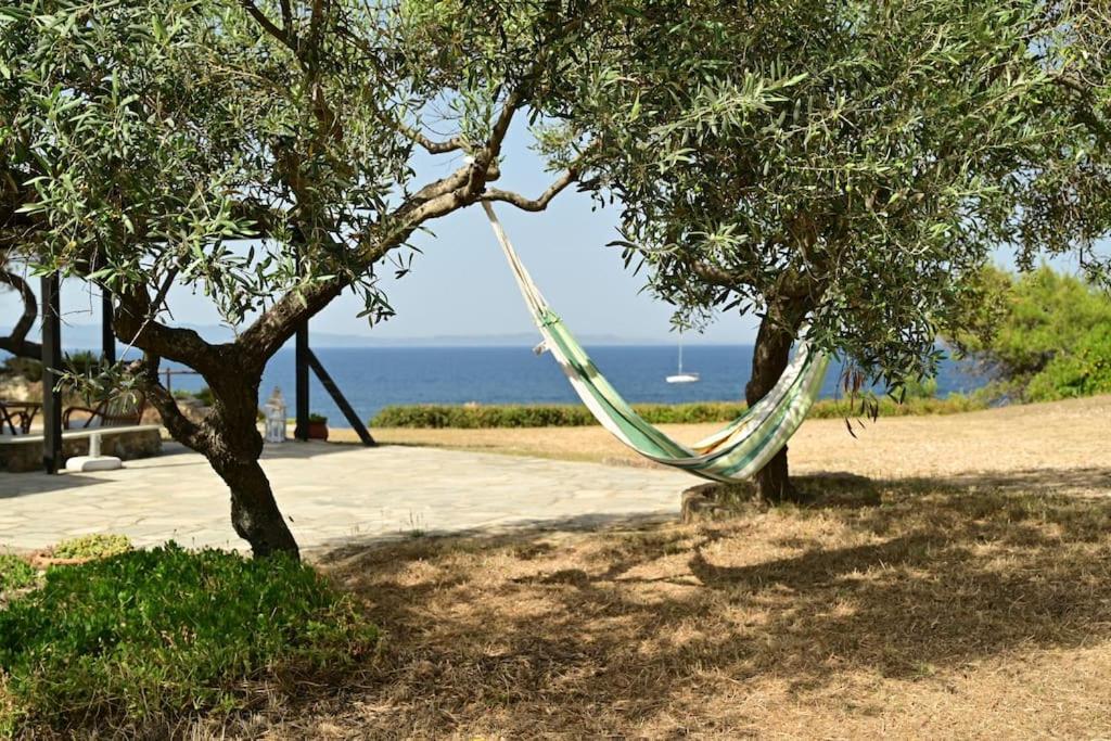 Rozalenia Mare Holiday home