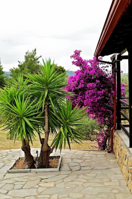 Holiday home Rozalenia Mare