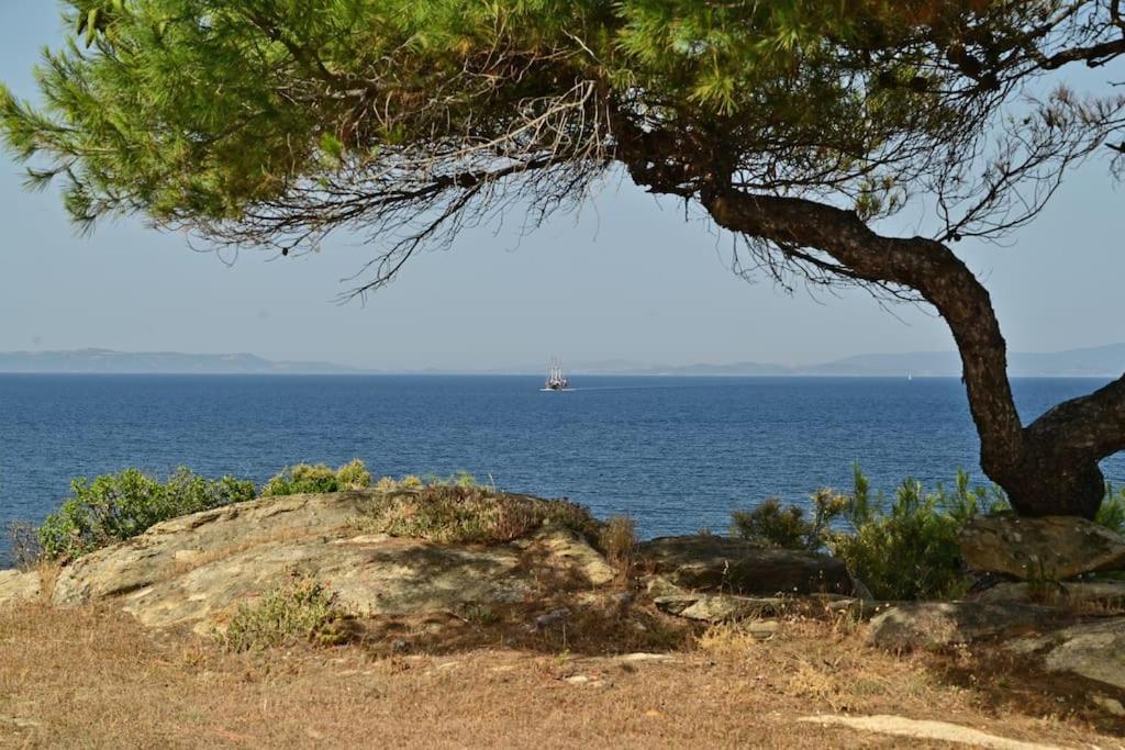Rozalenia Mare Holiday home *