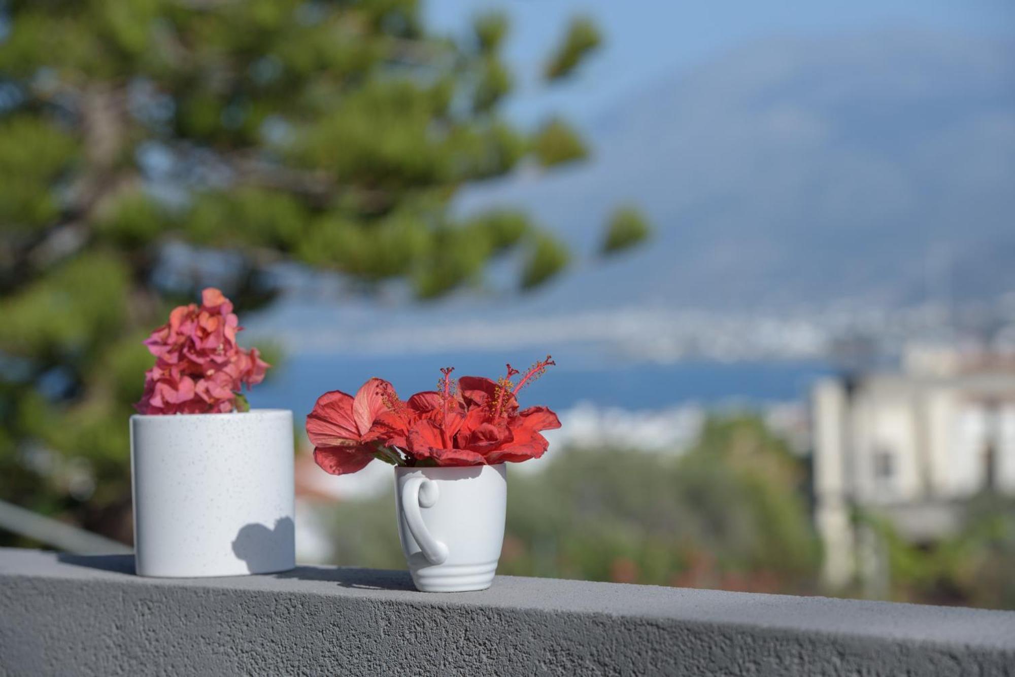 Marita House Sea View * Hersonissos (Crete)