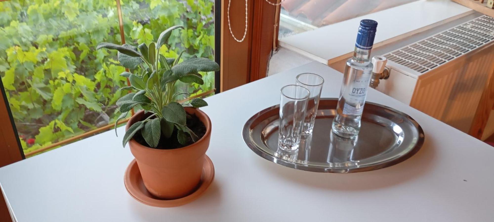 Apartment Bio Land Athens