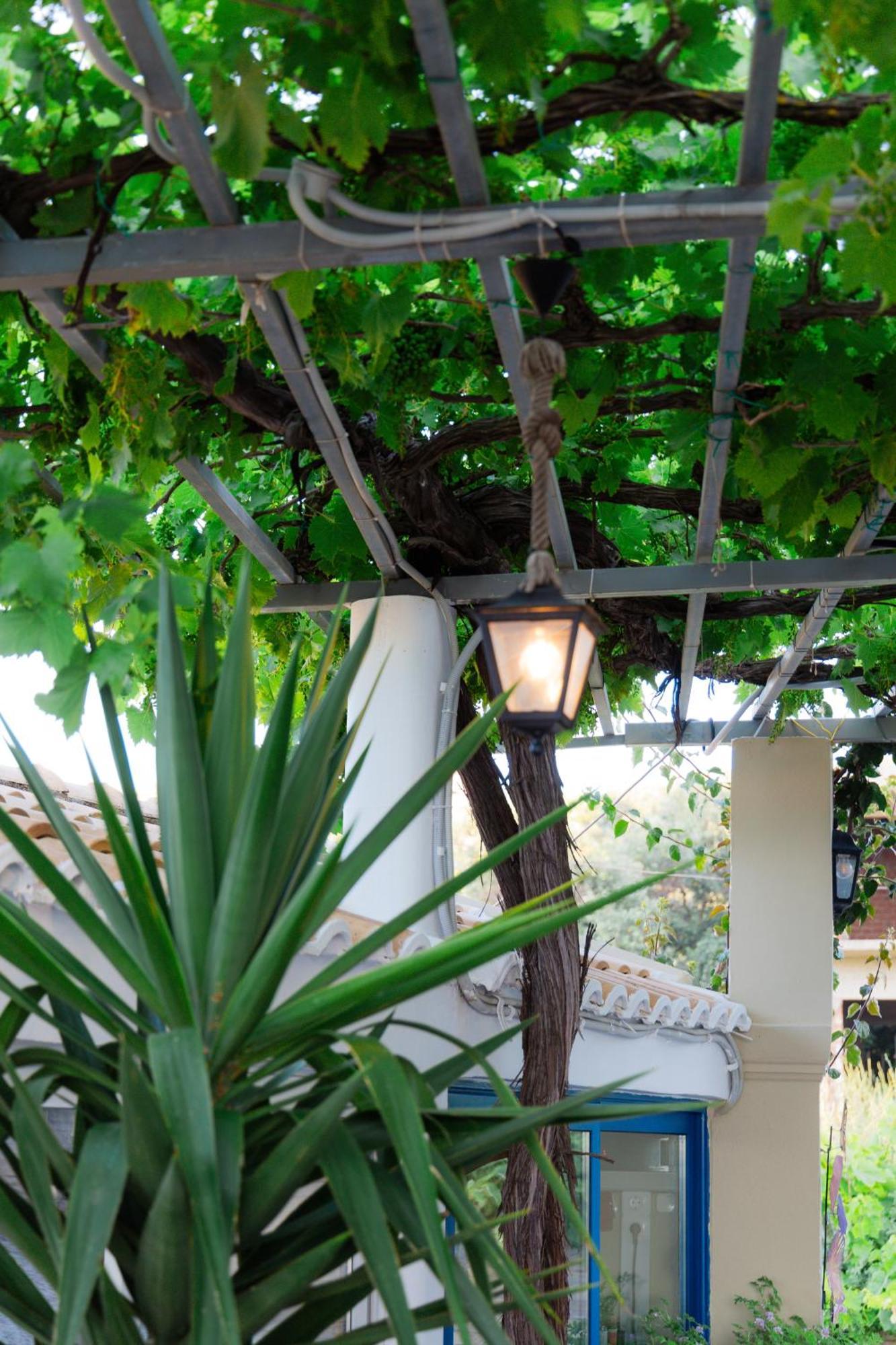 Sunsea Wellness