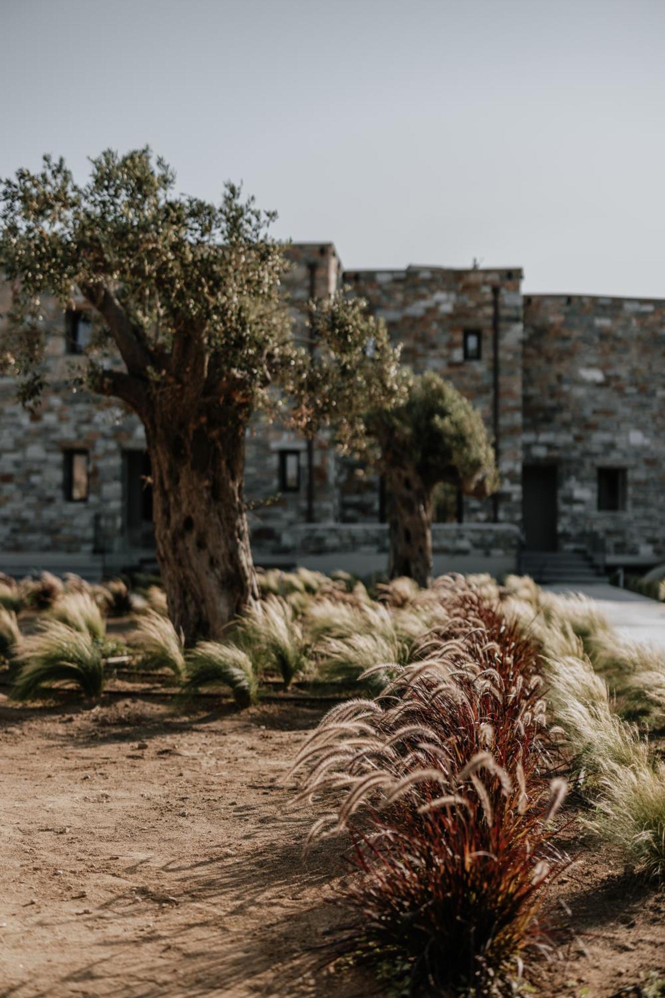 Onym Curated Villa