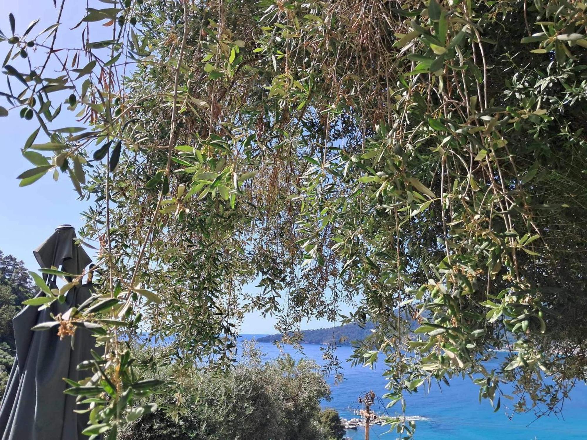 Villa Waterview Chrysi Ammoudia