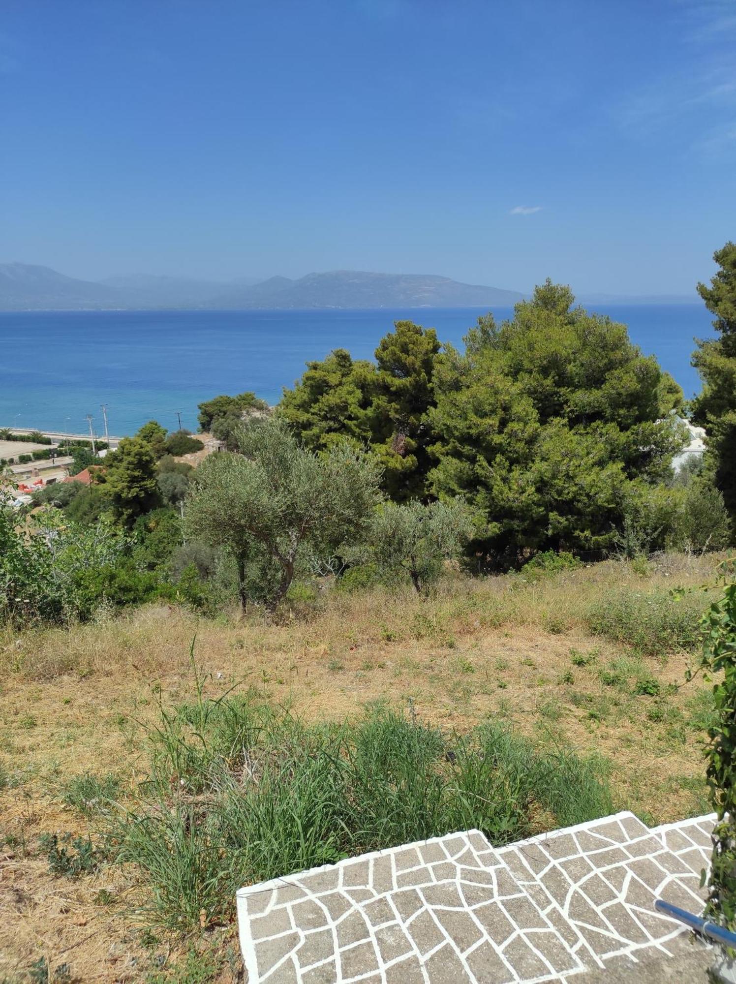 θέα από ψηλά Agioi Apostoloi (Attica)