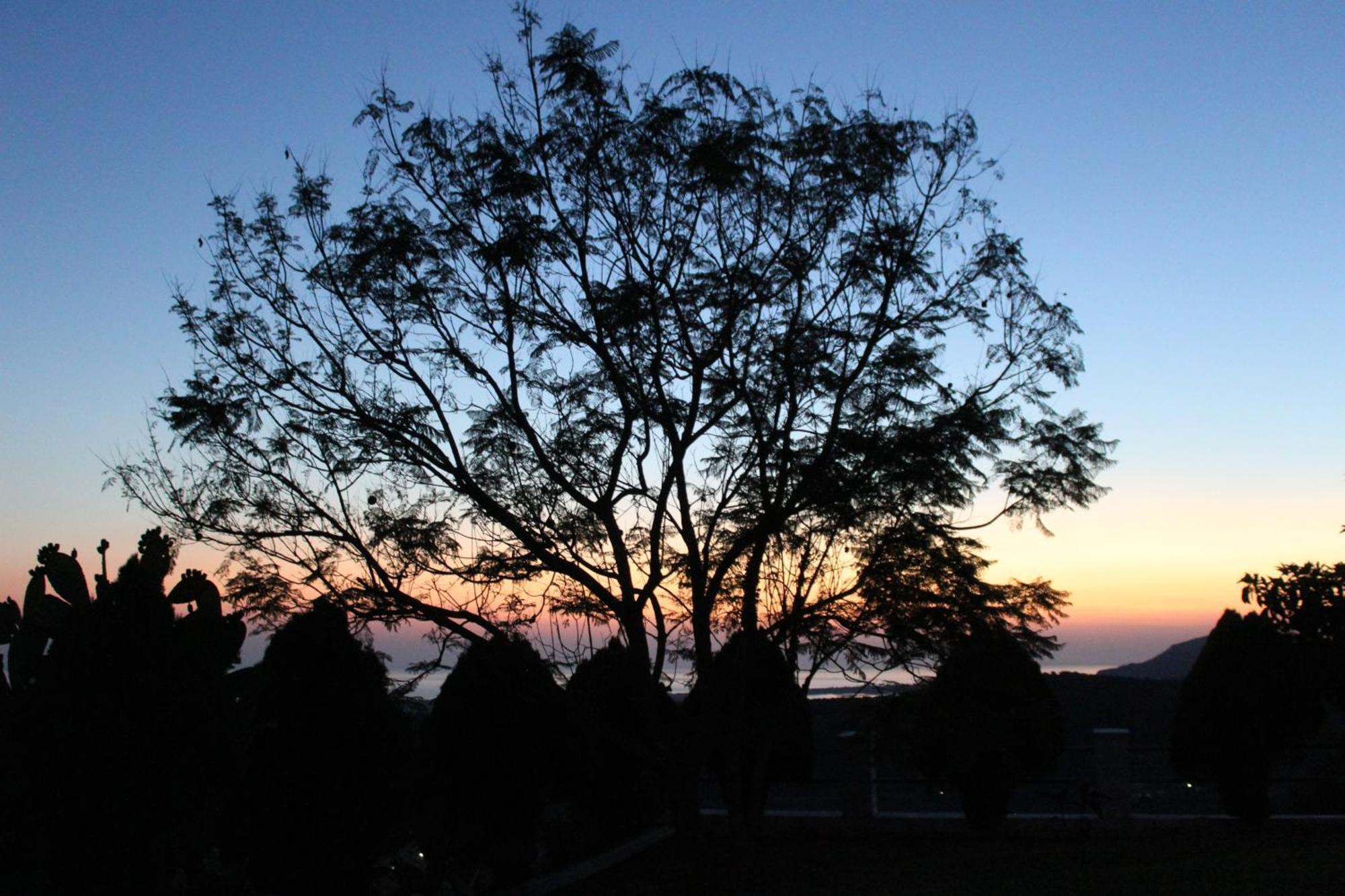 Homestay Zografos *